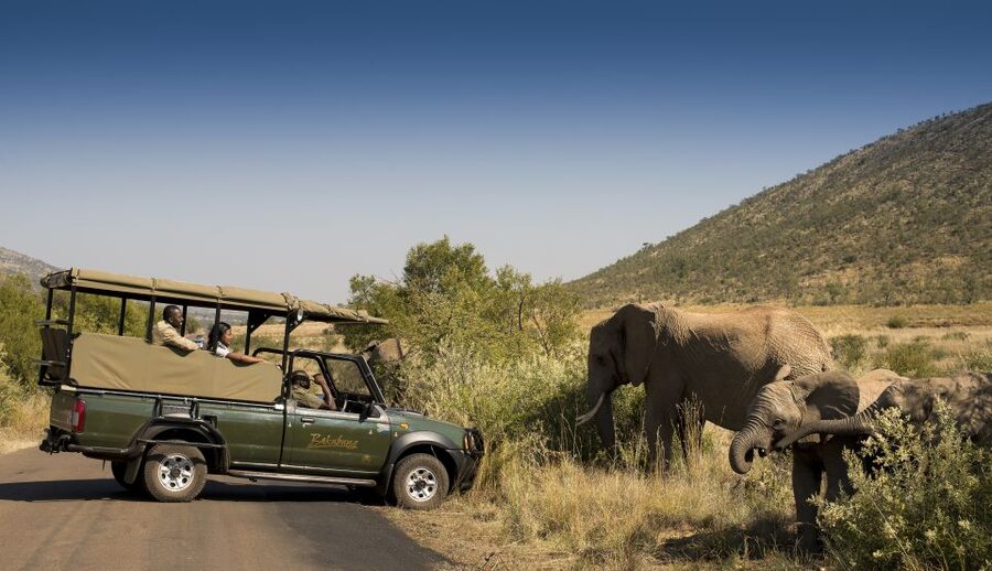 Johannesburg: 2-Day 4-Star Pilanesberg Safari - Sunrise in Pilanesberg on day two