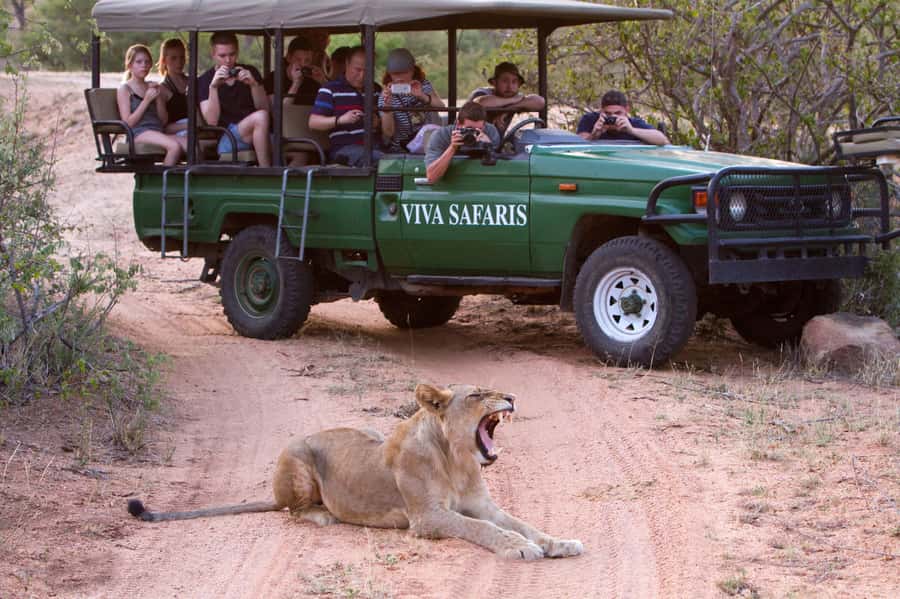 Johannesburg: 3-Day Classic Kruger National Park Safari Tour - Four game drives in three days