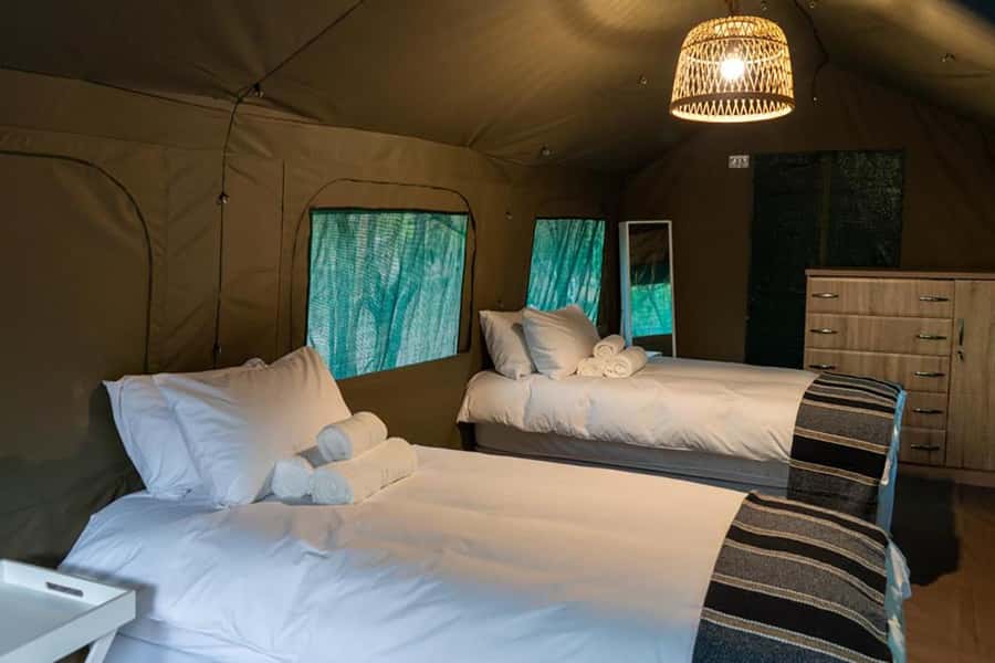 Johannesburg: 3-Day Kruger Budget Glamping Safari - The first sunset drive in Blue Canyon Reserve