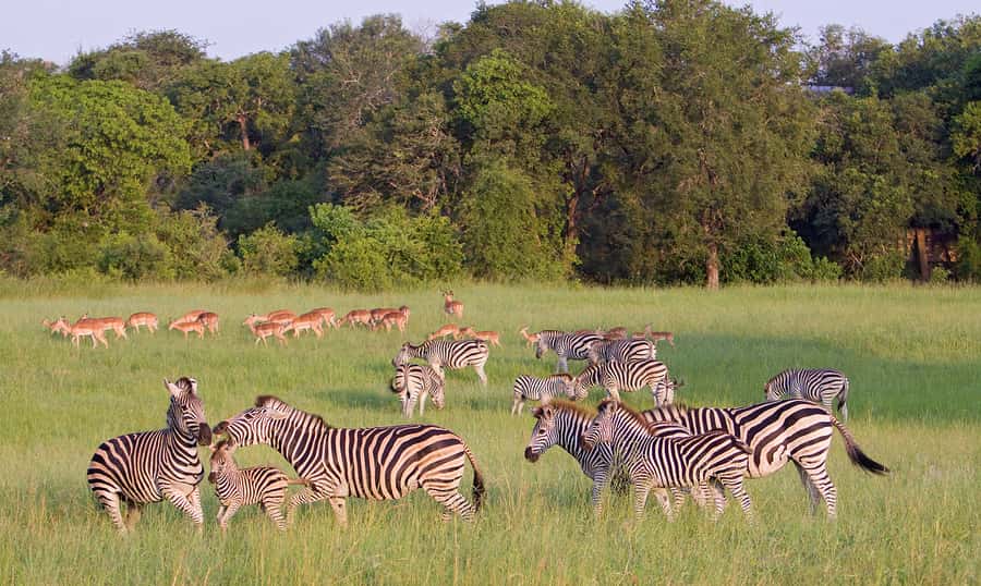 Johannesburg: 3-Day Panorama Tour with Kruger Park Safari - Day 1: From Johannesburg to the Panorama Route