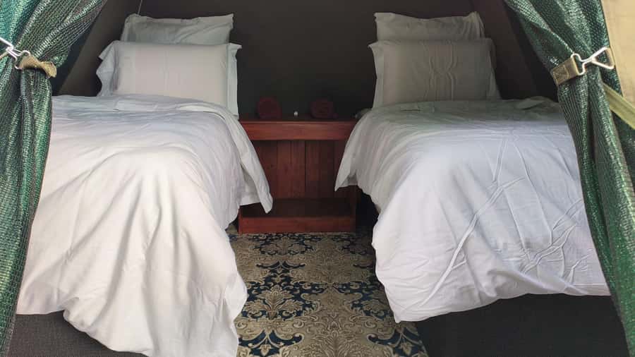 Johannesburg: 3-Day Pilanesberg Camping Adventure - Key points to know before booking