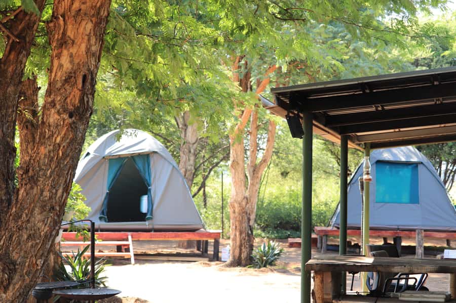 Johannesburg: 3-Day Pilanesberg Camping Adventure - Why Pilanesberg makes a good three-day safari