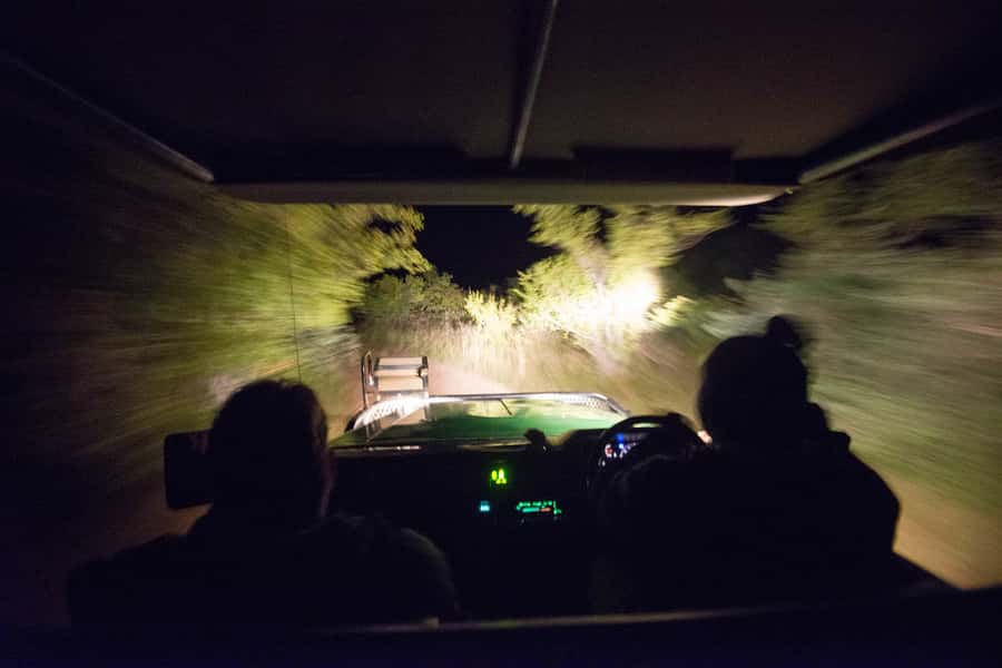 Johannesburg: 4-Day Classic Kruger National Park Safari - Why this safari works so well in four days