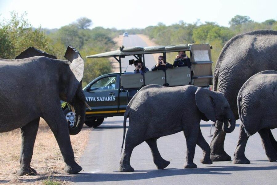 Johannesburg: 4-Day Classic Kruger National Park Safari - Walking the bush with armed rangers