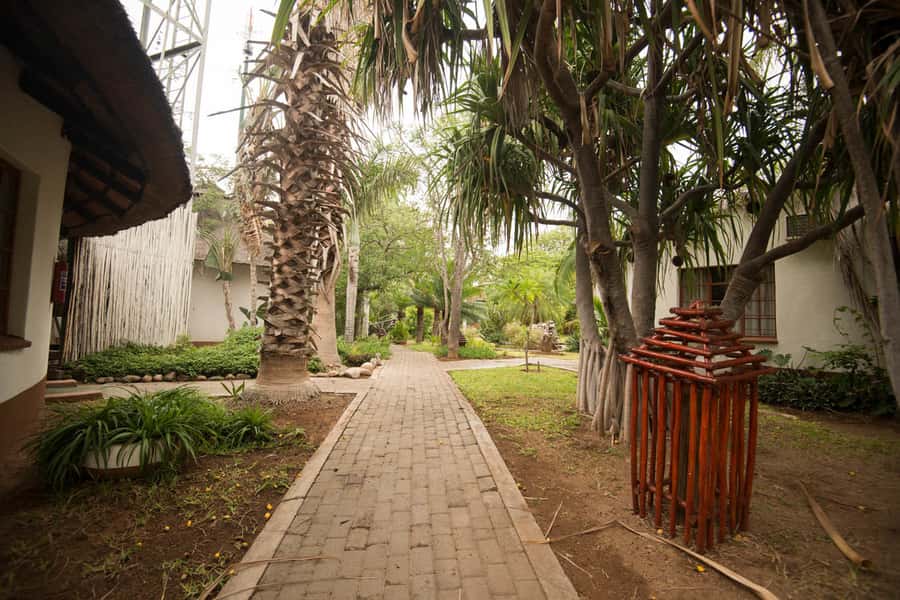 Johannesburg: 4-Day Classic Kruger National Park Safari - Sunrise, breakfast, and the road to Three Rondawels