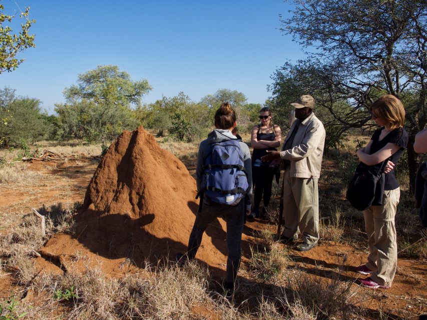 Johannesburg: 5-Day Classic Kruger National Park Safari - Why five days works well for a first safari