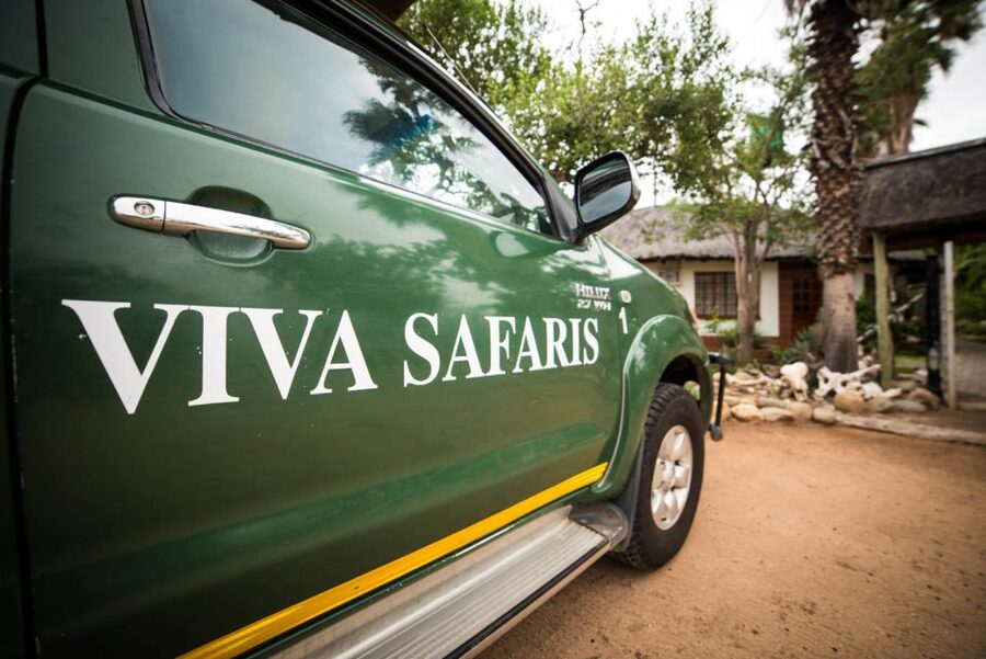 Johannesburg: 5-Day Classic Kruger National Park Safari - Guides, animal viewing, and safari ethics