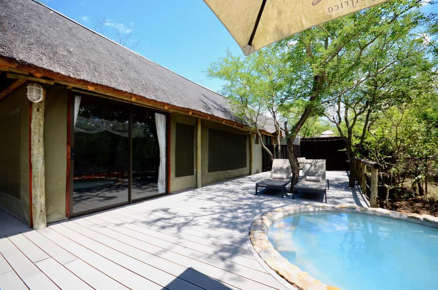 Johannesburg: 6-Day Luxury Kruger National Park Safari - Day 4: Moholoholo and another sunset drive