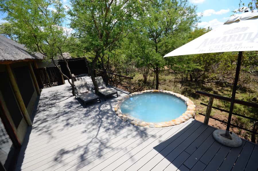 Johannesburg: 6-Day Luxury Kruger National Park Safari - Day 5: Your second full Kruger game-viewing day