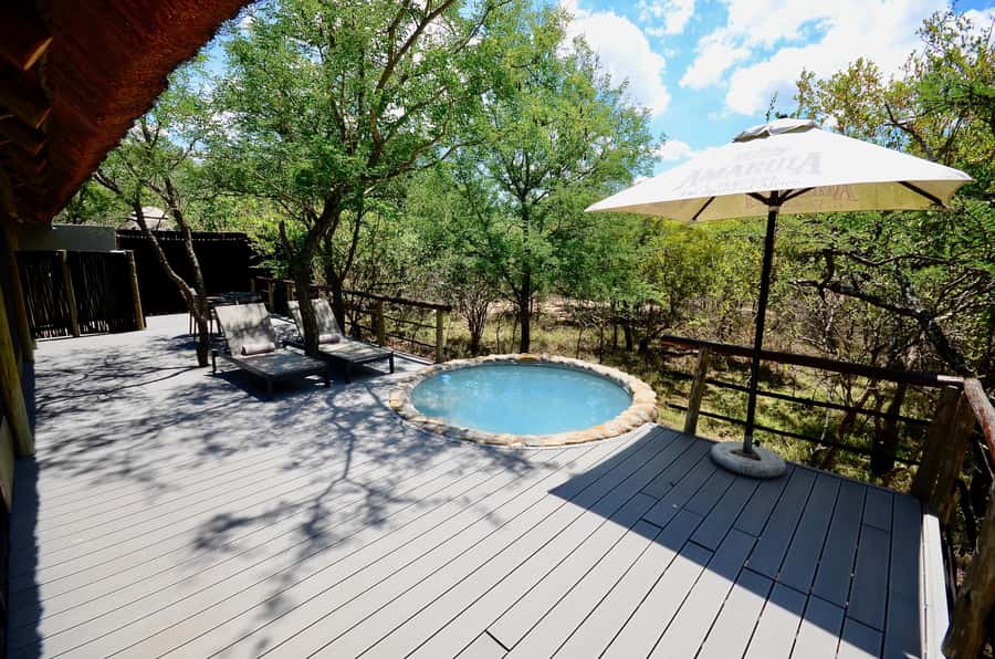 Johannesburg: 6-Day Luxury Kruger National Park Safari - Accommodation: basic first, more polished later