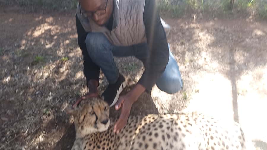 Johannesburg: Guided Walk with Lions in the African Bush - Meeting the guides and preparing for the walk