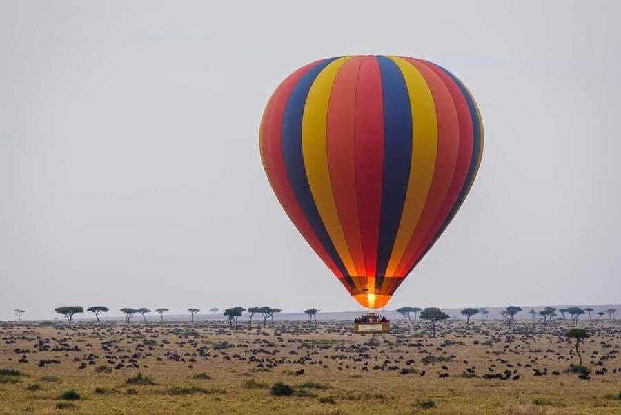 Johannesburg: Hot Air Balloon Flight - Key points at a glance