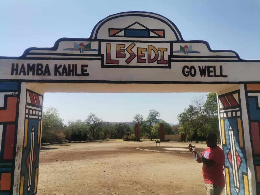 Johannesburg: Lion Park Safari and Cultural Village Tour - Why this Johannesburg day trip works