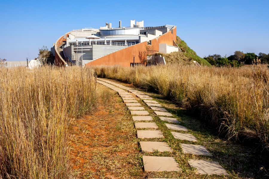 Johannesburg: Lion Park Safari and Cultural Village Tour - Leaving Johannesburg at 8am