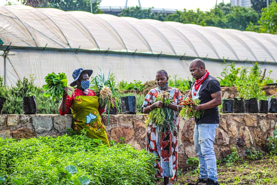 Johannesburg: Pan-African Cooking & Dinning Experience - Storytelling around the table