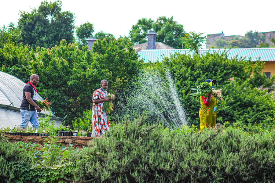 Johannesburg: Pan-African Cooking & Dinning Experience - Who will enjoy this most