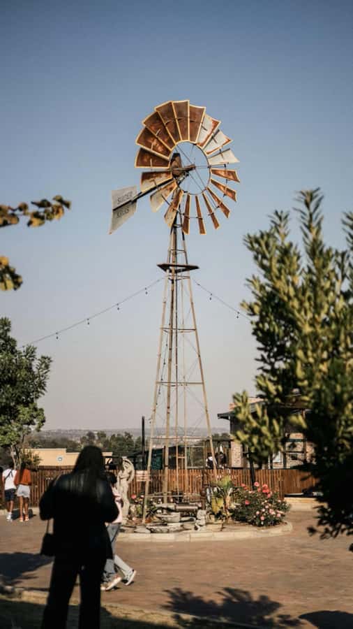 Johannesburg: Private Walking Tour with a Local - What the strongest guide experiences have in common