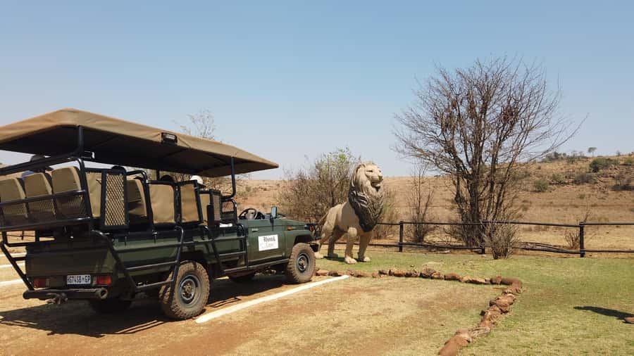 Johannesburg: Rhino and Lion Nature Reserve Safari - Lions, rhinos, and wild dogs are the main draw