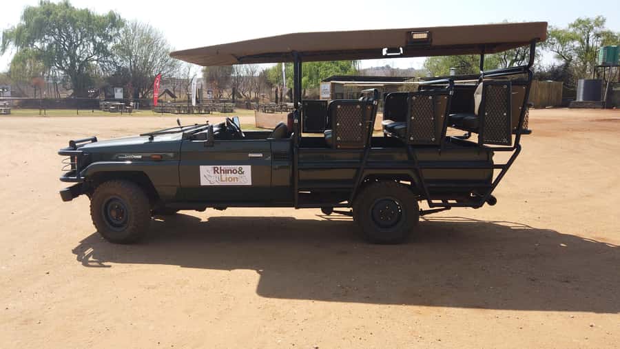 Johannesburg: Rhino and Lion Nature Reserve Safari - Pickup, timing, and communication tips