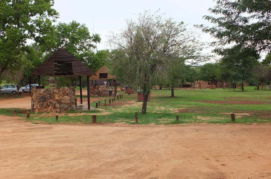 Johannesburg: Rhino and Lion Nature Reserve Safari - Final call: a practical short safari from Johannesburg