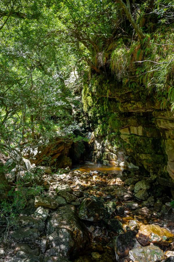 Jonkershoek: Waterfall Hike and 4x4 Safari Ride - What $77 includes, and what it does not