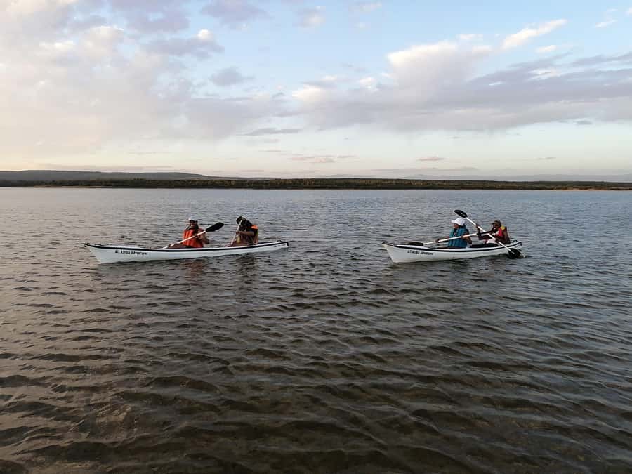 Kayaking Jeffreys Bay - Flamingos, birds, and the luck of the lagoon