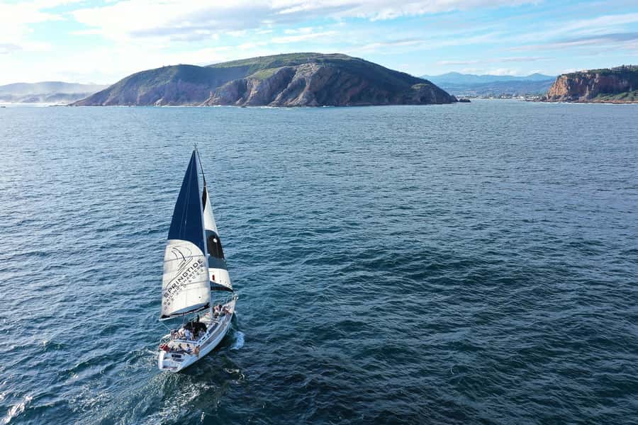 Knysna: 1.5-Hour Sailing Experience - Who gets the best value for $95?