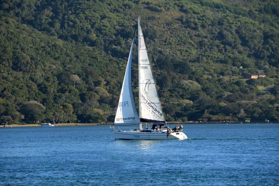Knysna: 2.5-Hour Day Sail & Lunch Charter - Is $143 a fair price?