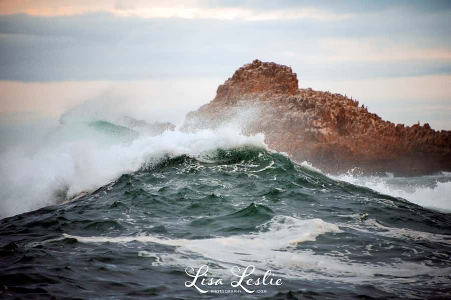 Knysna: 2.5-Hour Day Sail & Lunch Charter - Should you book Outeniqua?