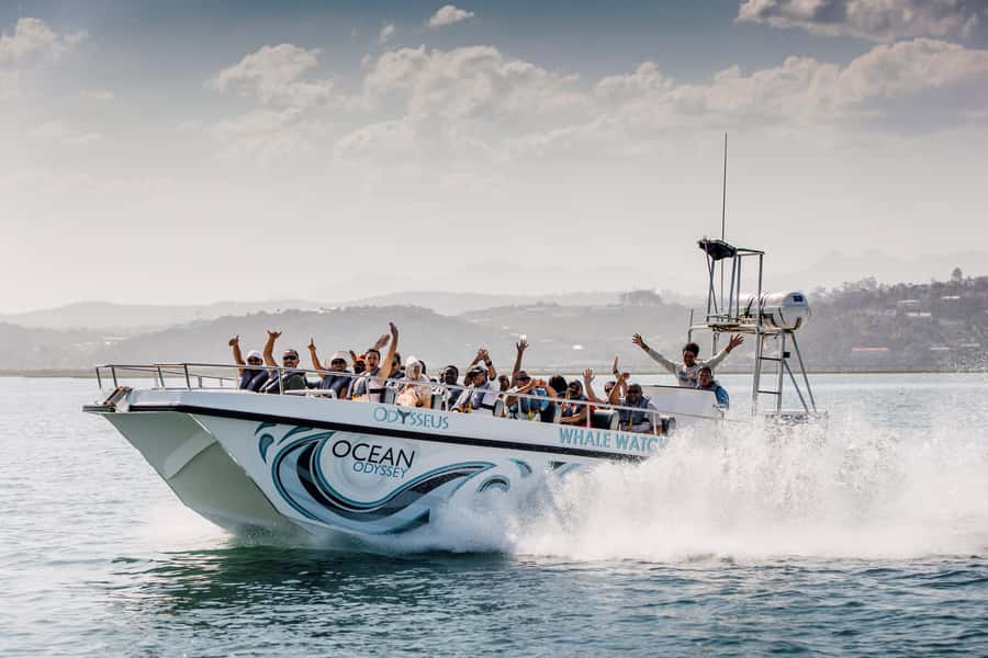 Knysna: Close Encounter Whale Watching Tour by Boat - Humpback whales are the main event