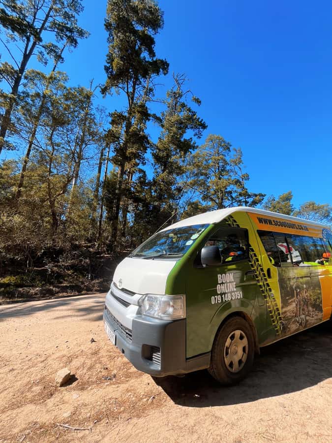 Knysna: Downhill Forest Scootour Adventure - Riding alone or carrying a child