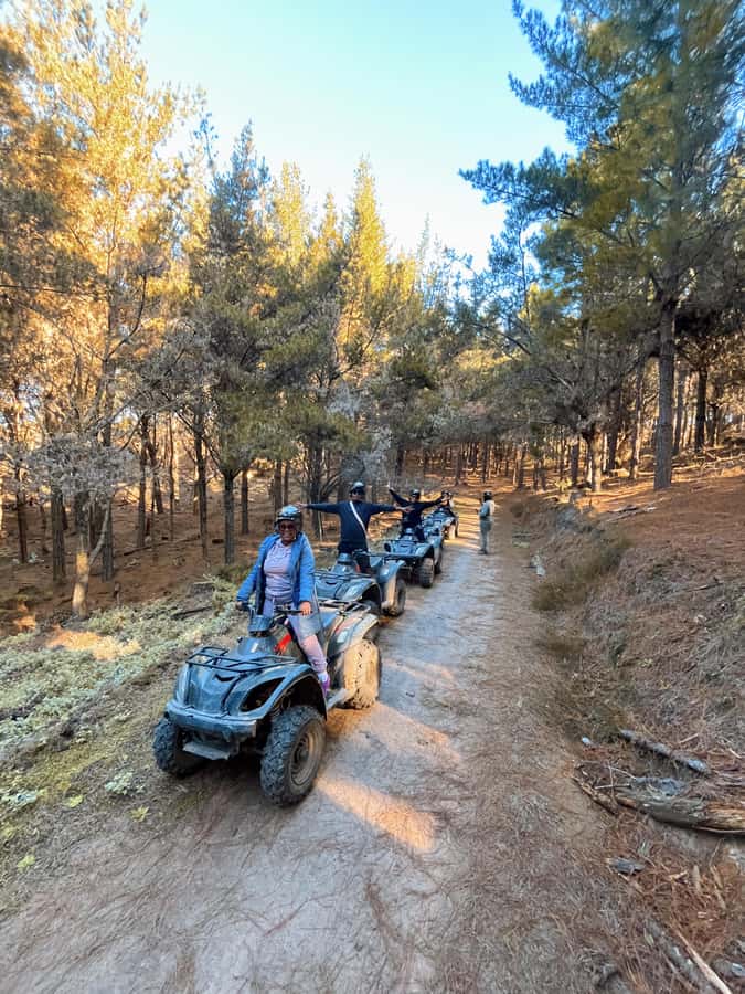 Knysna: Guided Quad Bike Tour in the Forest - Riding into Knysna Forest