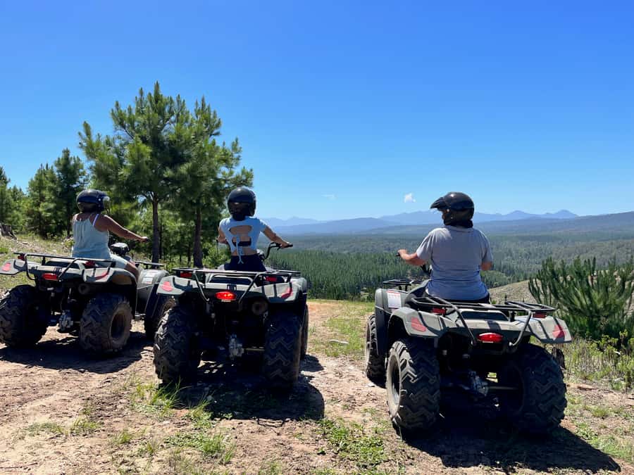 Knysna: Guided Quad Bike Tour in the Forest - What the one-hour quad ride is like