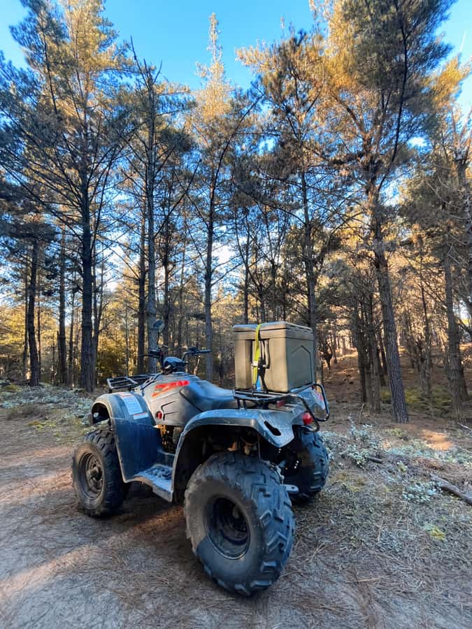 Knysna: Guided Quad Bike Tour in the Forest - Who should book this Knysna forest ride?