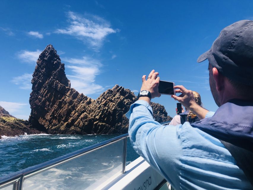 Knysna Heads and Estuary Adventure - Wildlife without a full-day commitment