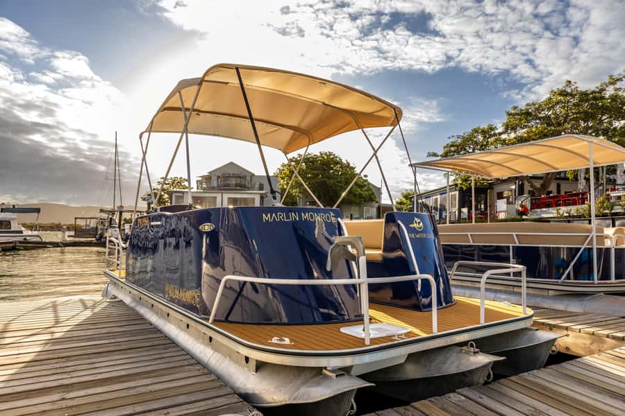 Knysna: Knysna Lagoon Pontoon Boat Cruise - Key points to know before booking
