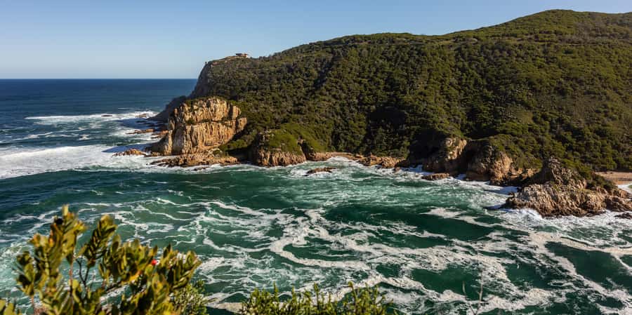 Knysna: Knysna Lagoon Pontoon Boat Cruise - Swimming and the secluded beach stop