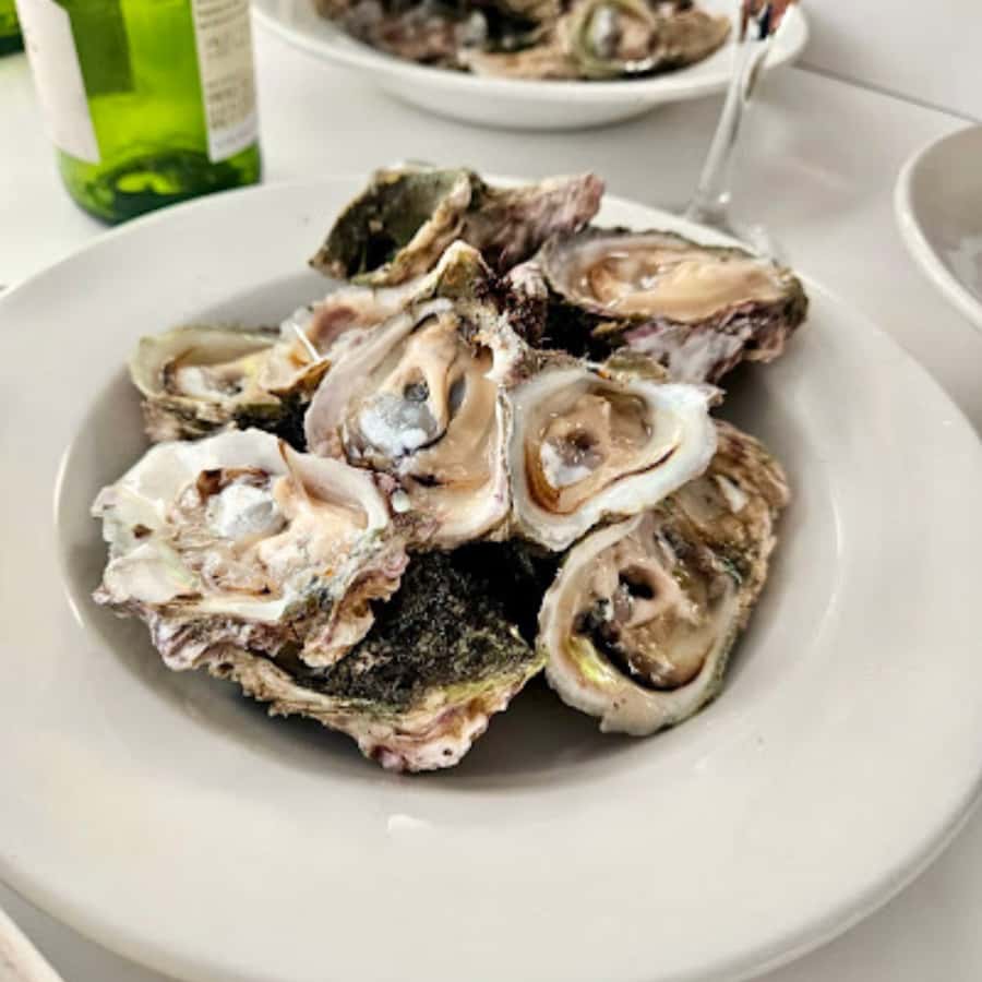 Knysna Lagoon: Boat Cruise with Oyster & White Wine Tasting - Finding the boat at Thesen Island
