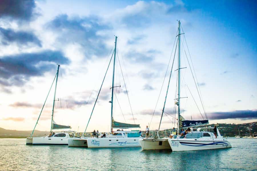 Knysna: Luxury Catamaran Marine Adventure Tour - Key points to know before you sail