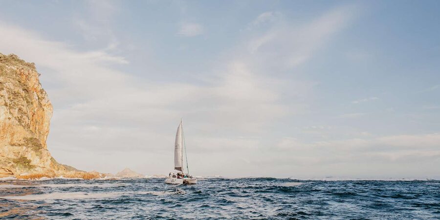 Knysna: Luxury Catamaran Marine Adventure Tour - Watching for dolphins, seals, and other marine life