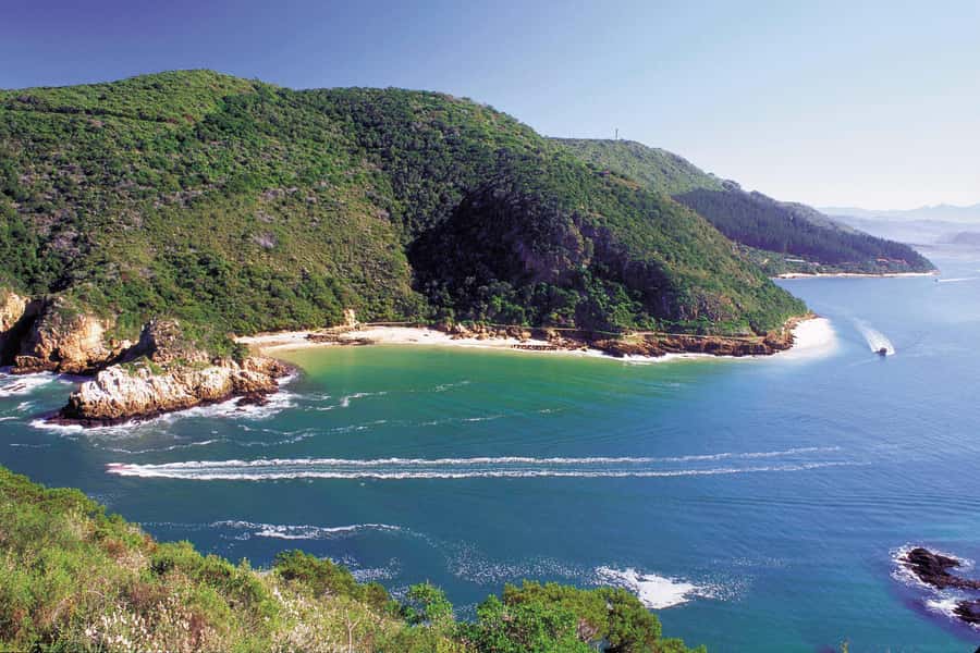 Knysna: Luxury Catamaran Marine Adventure Tour - A luxury catamaran with room for a slower pace