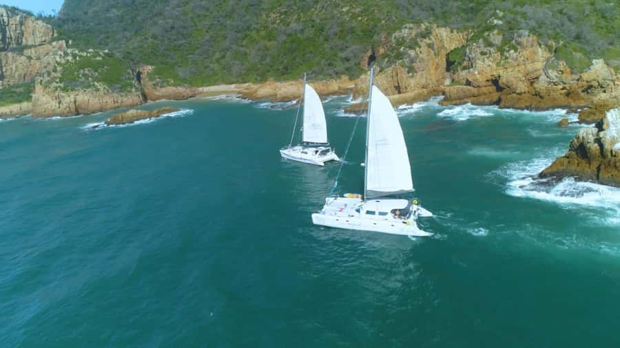 Knysna: Luxury Sunset Cruise with Captain's Barbeque - Who should book this Knysna sunset cruise?