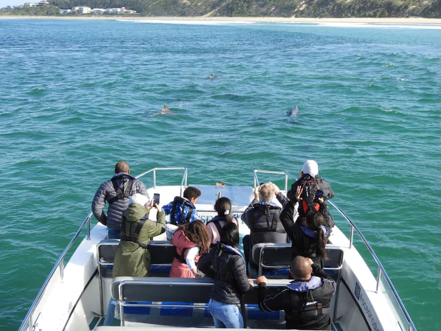 Knysna: Marine Life & Garden Route Coastline Tour - Why the Knysna Heads make this cruise special