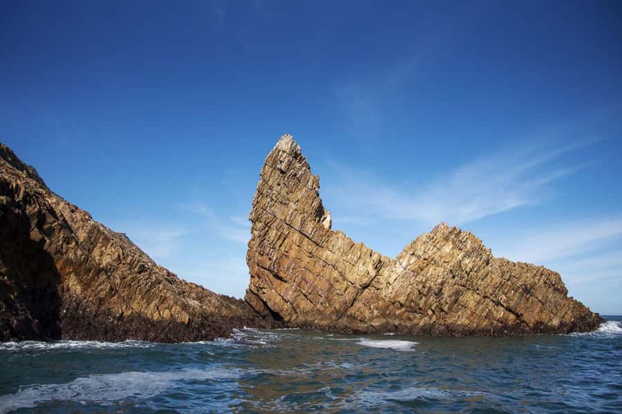 Knysna: Marine Life & Garden Route Coastline Tour - Passing through the Heads