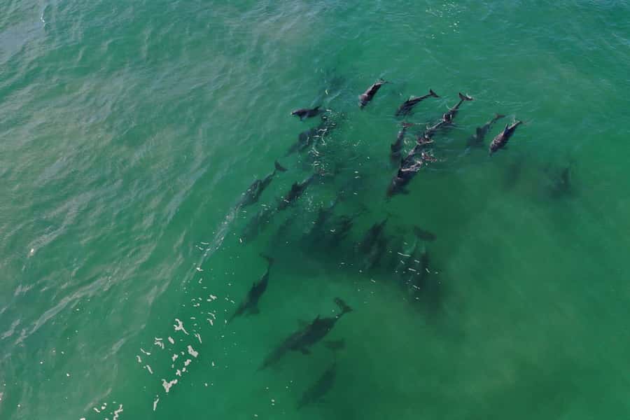 Knysna: Marine Life & Garden Route Coastline Tour - The crew and the smaller boat experience