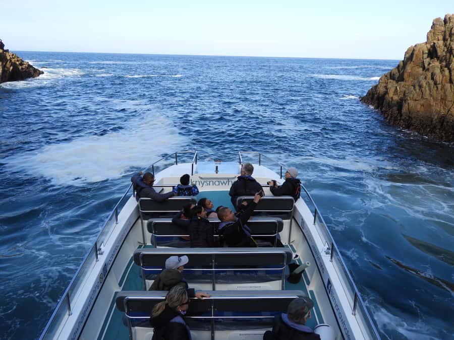 Knysna: Marine Life & Garden Route Coastline Tour - Price and what you receive for $5