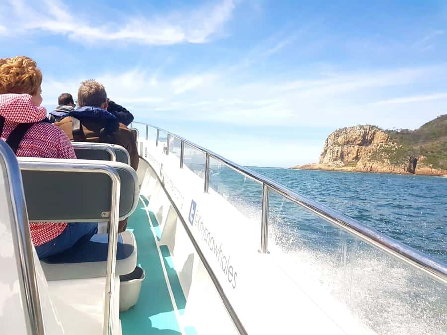 Knysna: Marine Life & Garden Route Coastline Tour - The estuary: a calm beginning with useful context