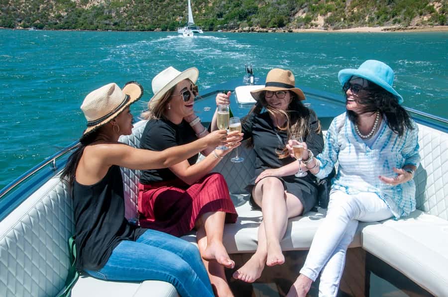 Knysna: Scenic Cruise Aboard a Luxury Lounge Cruiser - Cruising Knysna Lagoon aboard BellaVita