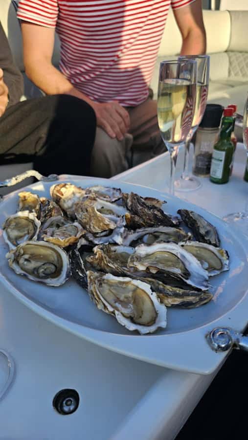 Knysna: Wine & Oyster Luxury Lounger Sunset Cruise - Oysters, wine, and the right amount of food