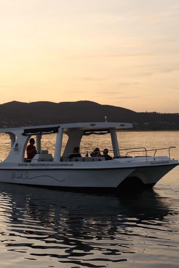 Knysna: Wine & Oyster Luxury Lounger Sunset Cruise - Wildlife and local stories